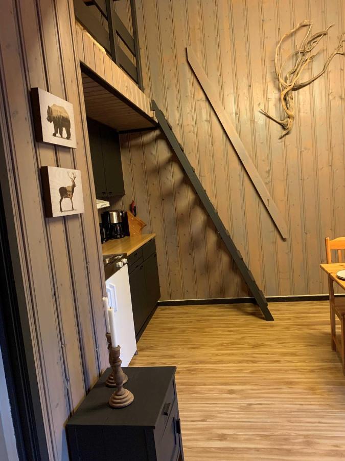 Enok Hytter & Resort Liagardane Экстерьер фото